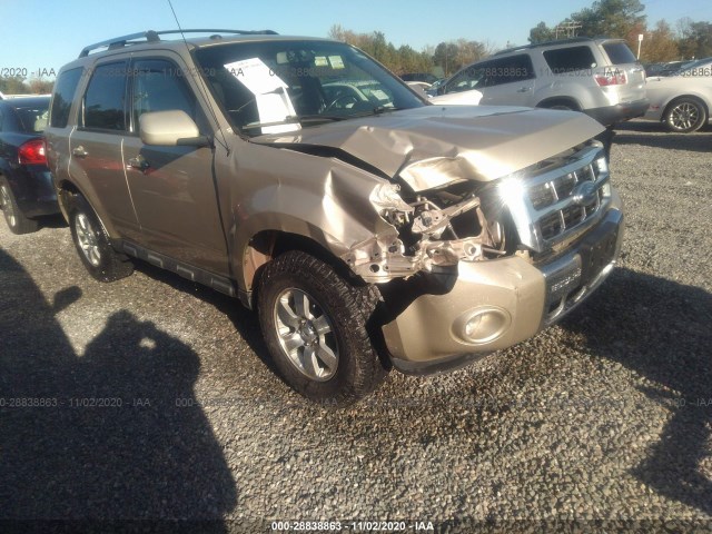 FORD ESCAPE LIM 2010 1fmcu9eg3aka31675