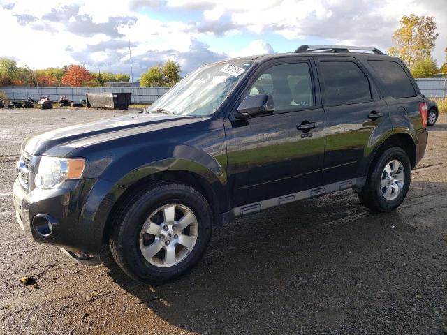 FORD ESCAPE LIM 2010 1fmcu9eg3akc44738