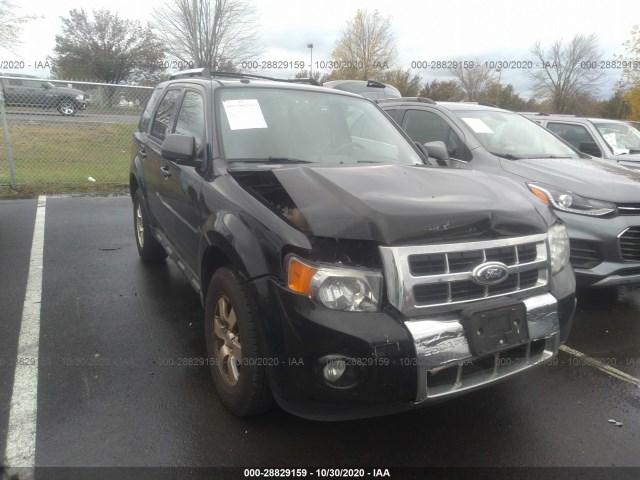 FORD ESCAPE 2011 1fmcu9eg3bkb00916