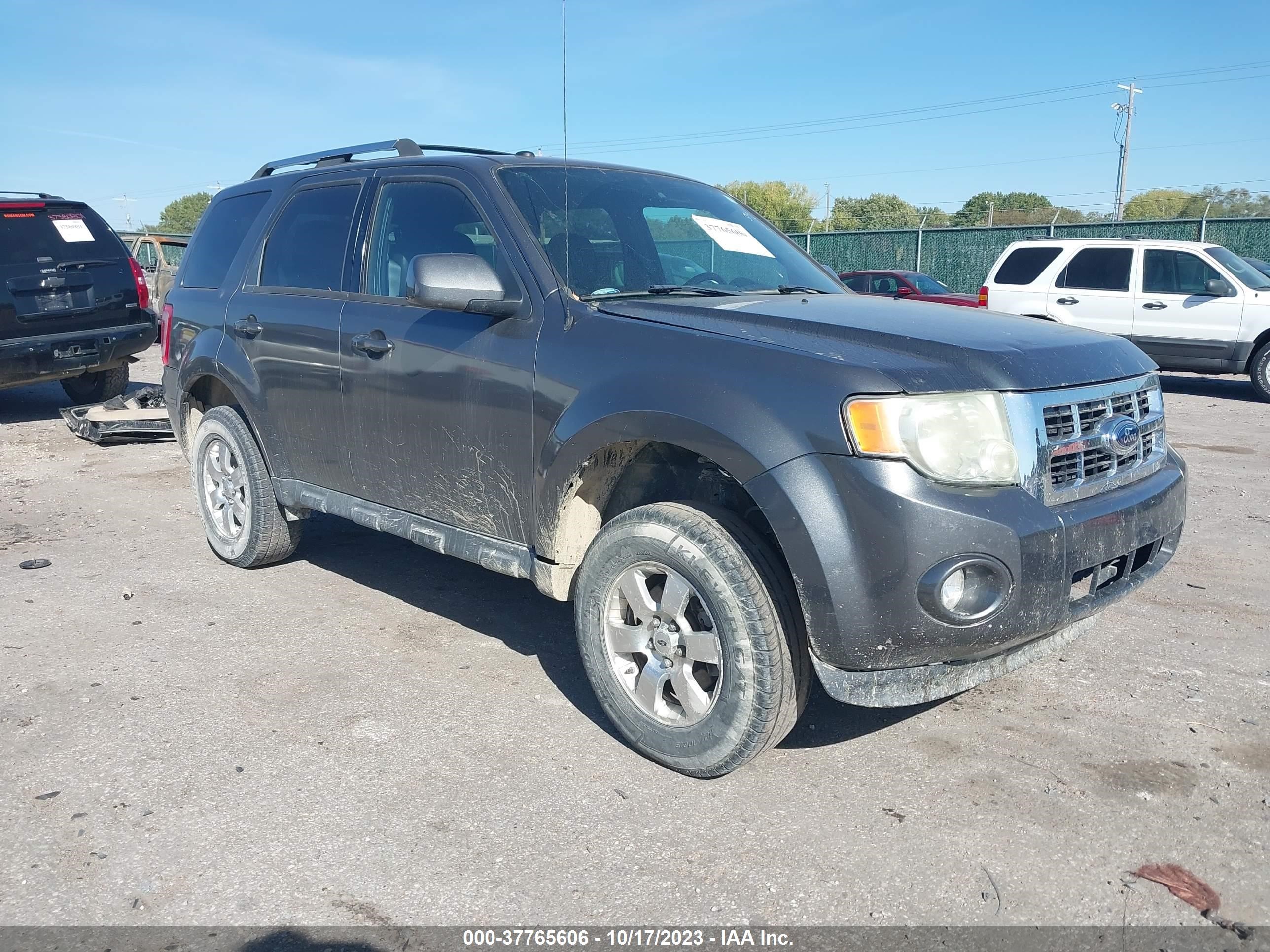 FORD ESCAPE 2011 1fmcu9eg3bkb08904