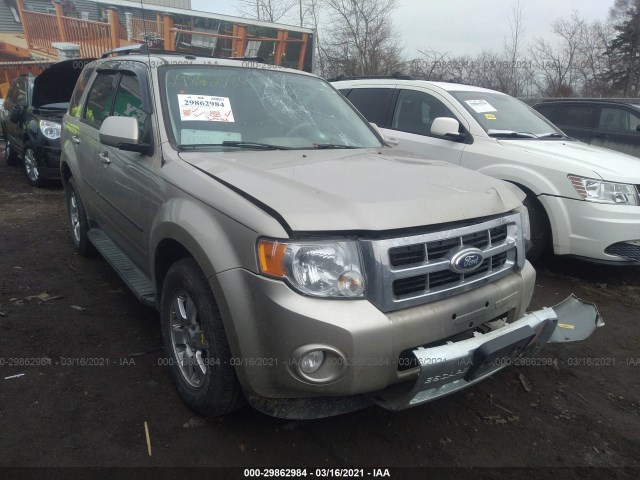 FORD ESCAPE 2011 1fmcu9eg3bkb11043