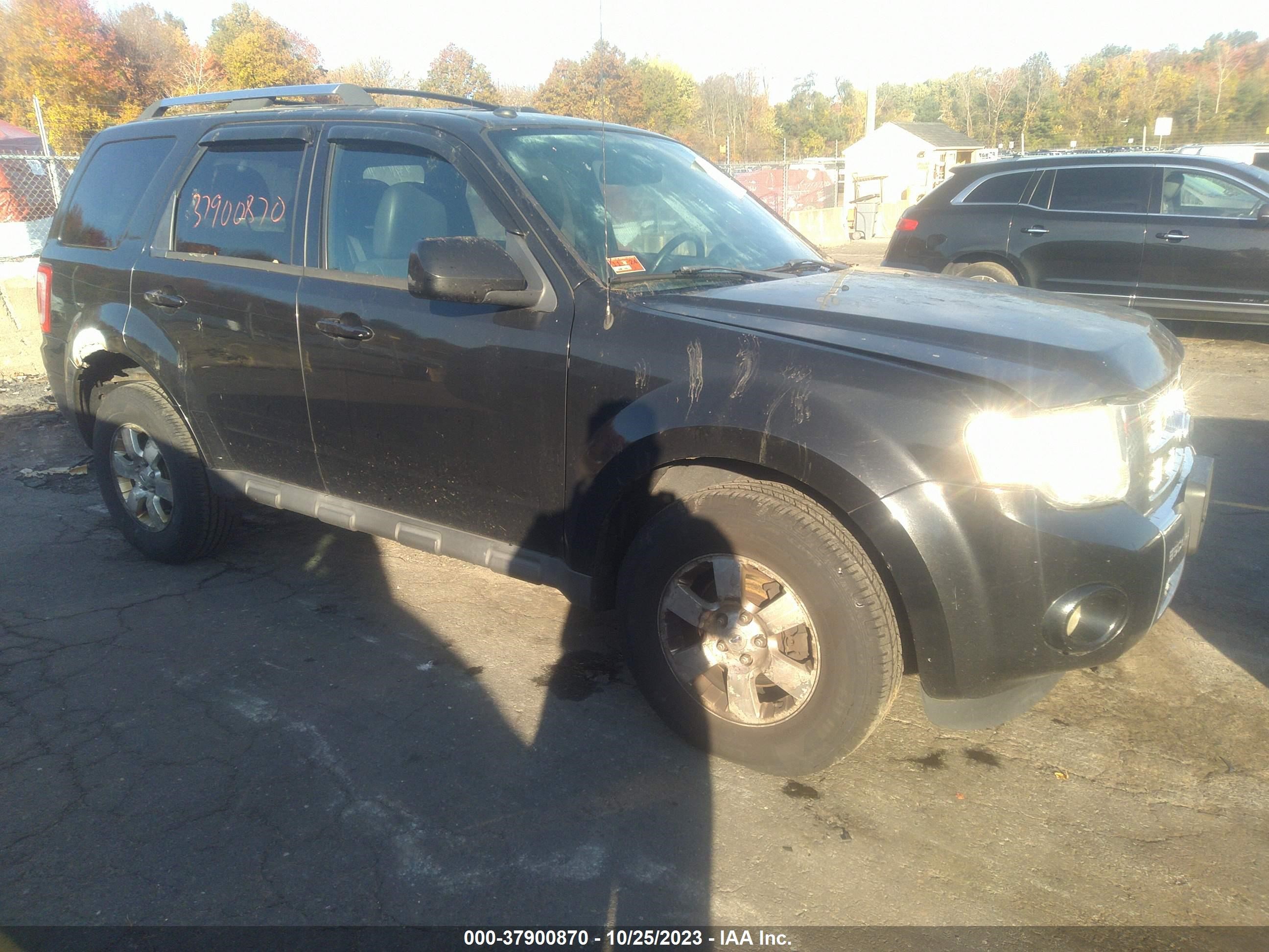 FORD ESCAPE 2011 1fmcu9eg3bkb65958