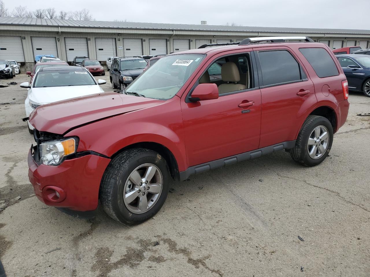 FORD ESCAPE 2011 1fmcu9eg3bkc16942