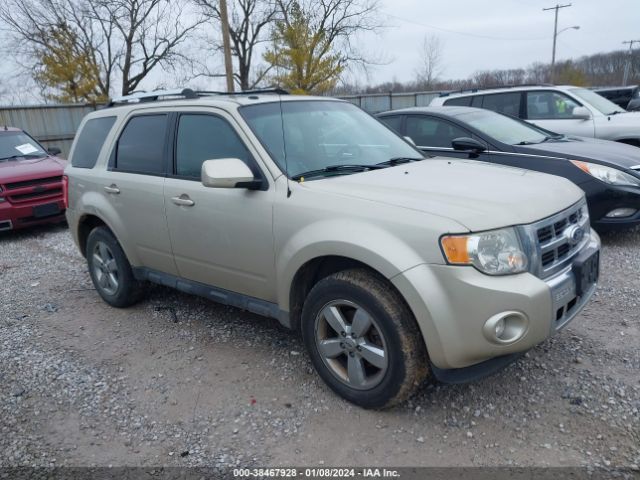 FORD ESCAPE 2011 1fmcu9eg3bkc66370