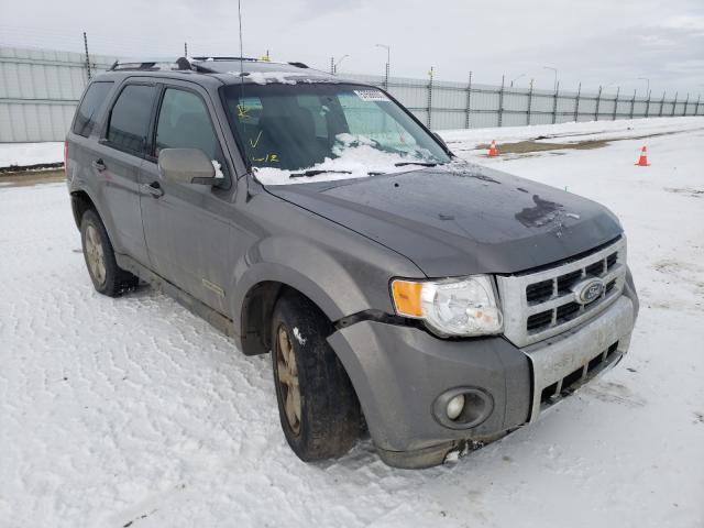 FORD ESCAPE LIM 2010 1fmcu9eg4akb38492