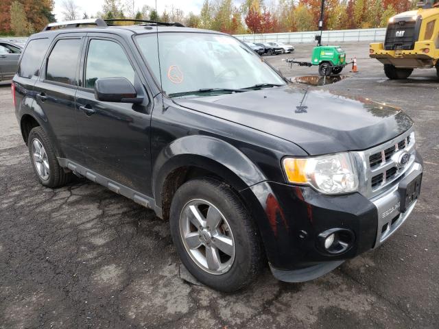 FORD ESCAPE LIM 2010 1fmcu9eg4akc63119