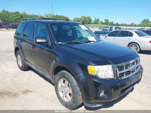 FORD ESCAPE 2011 1fmcu9eg4bkb01136