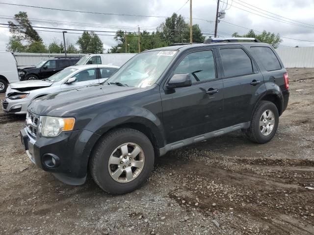 FORD ESCAPE LIM 2011 1fmcu9eg4bkb43130