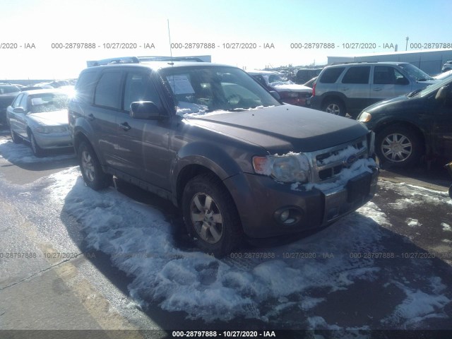 FORD ESCAPE 2011 1fmcu9eg4bkc10759