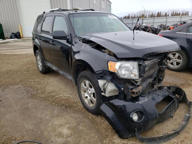 FORD ESCAPE LIM 2010 1fmcu9eg5aka06146