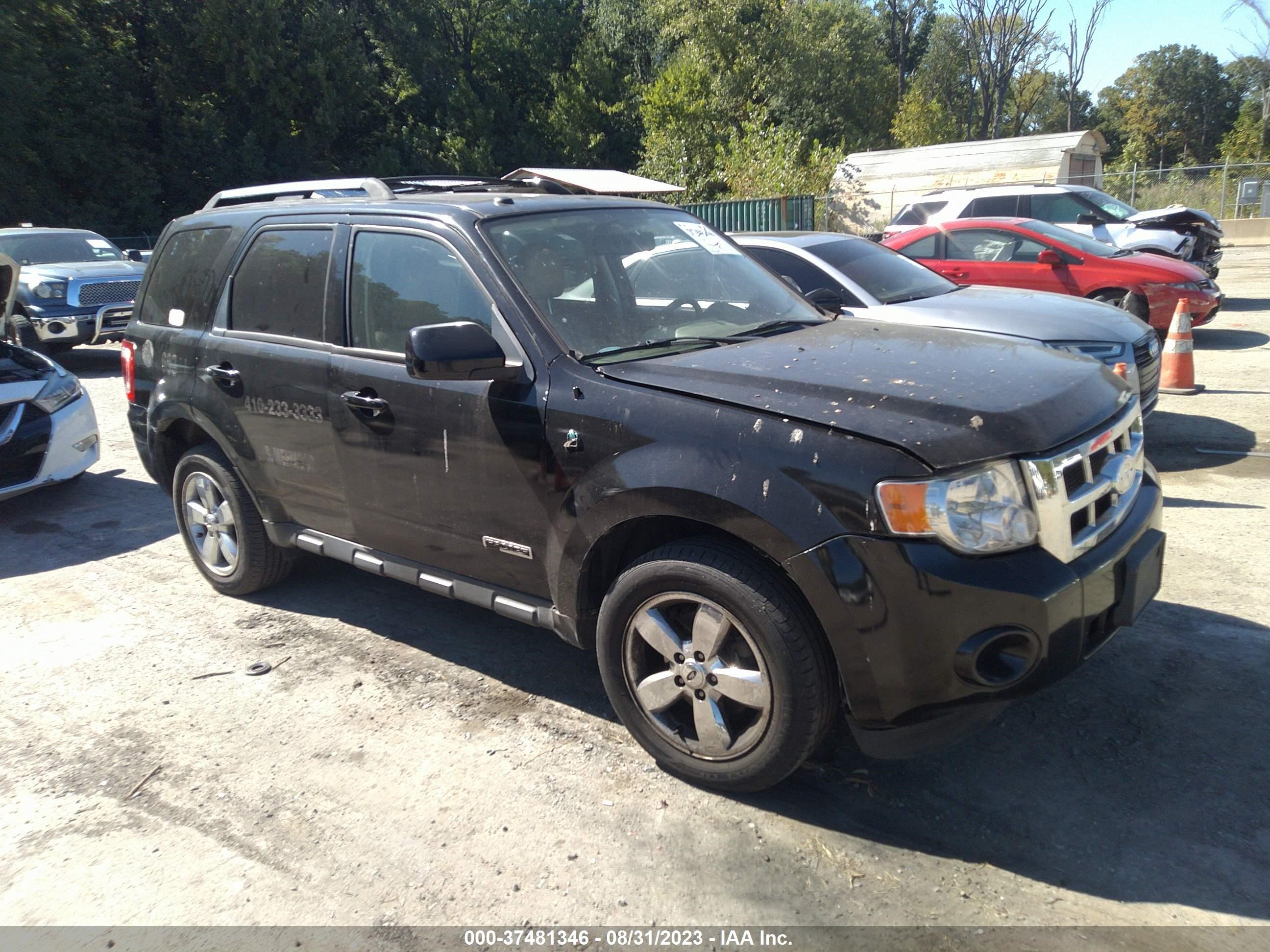 FORD ESCAPE 2010 1fmcu9eg5akb06876