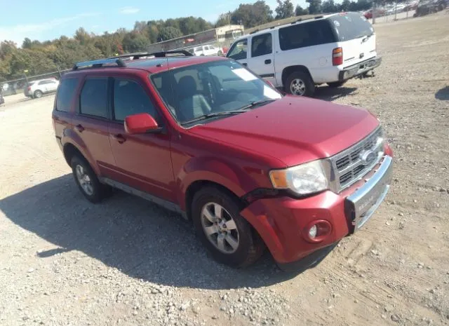 FORD ESCAPE 2010 1fmcu9eg5akc13619