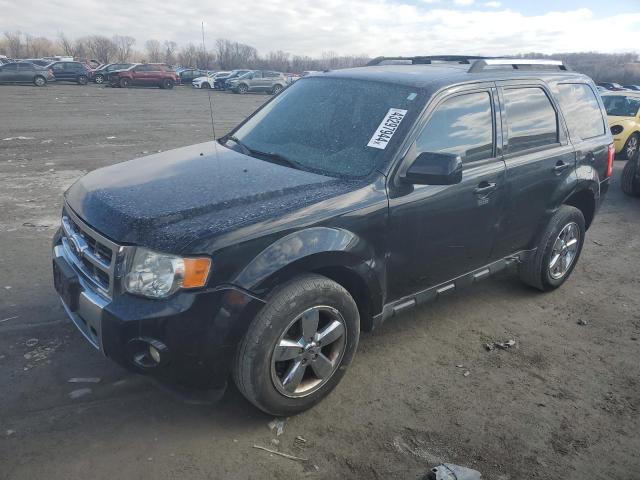 FORD ESCAPE 2011 1fmcu9eg5bkc62191