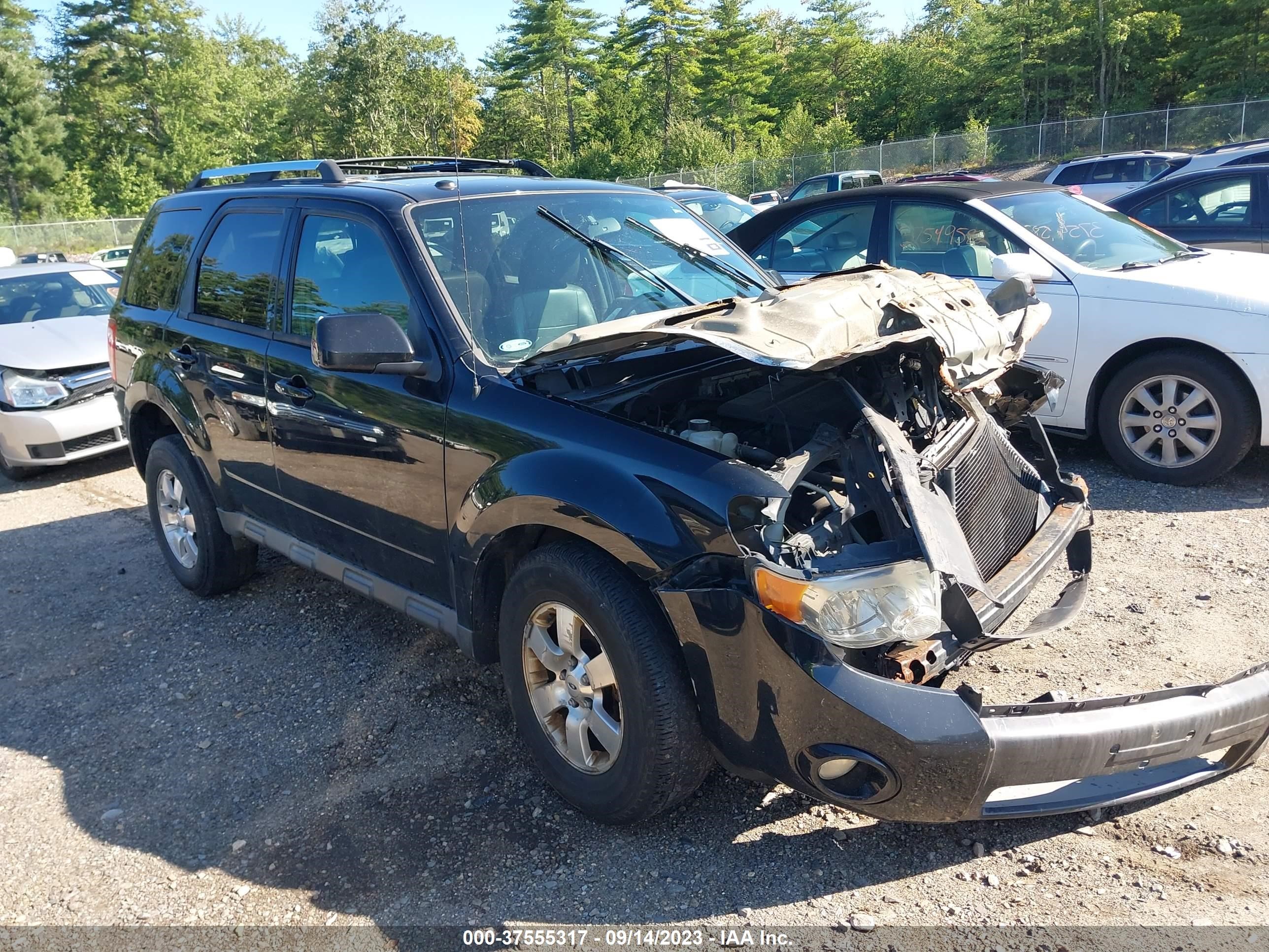 FORD ESCAPE 2012 1fmcu9eg5ckb70631