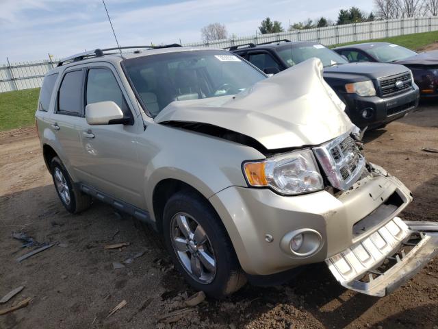 FORD ESCAPE LIM 2010 1fmcu9eg6aka12764