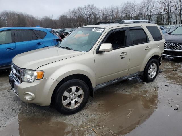 FORD ESCAPE 2010 1fmcu9eg6akc15220