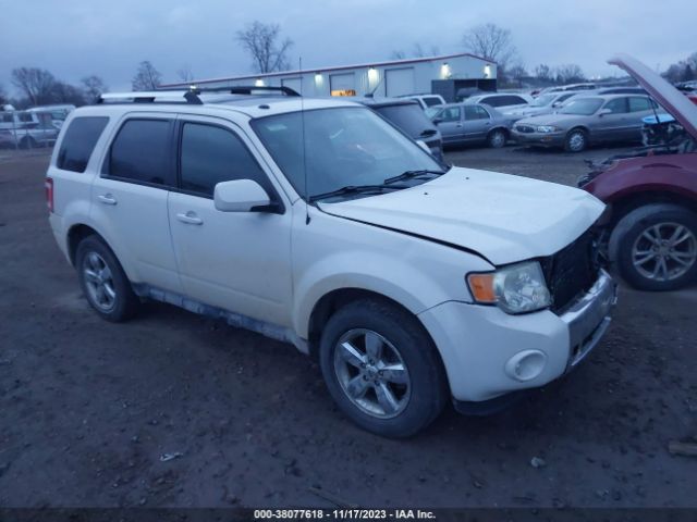 FORD ESCAPE 2011 1fmcu9eg6bka03046