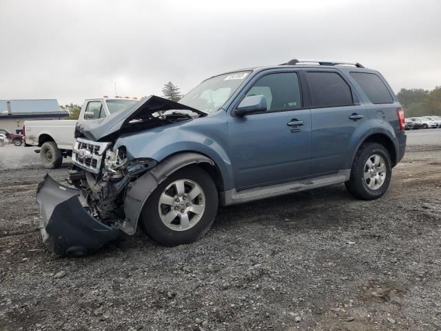 FORD ESCAPE LIM 2011 1fmcu9eg6bka52117