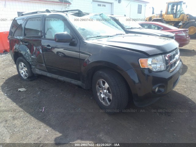 FORD ESCAPE 2011 1fmcu9eg6bkb11358