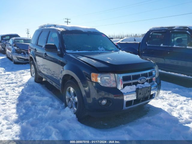 FORD ESCAPE 2011 1fmcu9eg6bkb17709