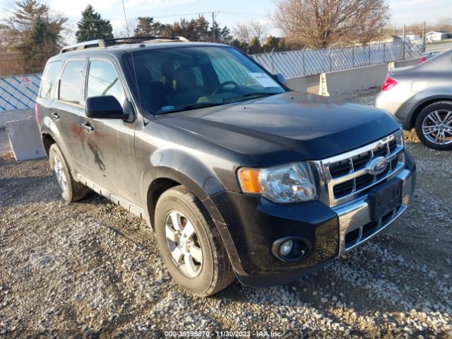 FORD ESCAPE 2011 1fmcu9eg6bkb27270