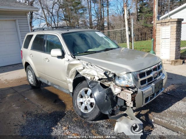 FORD ESCAPE 2011 1fmcu9eg6bkb44893