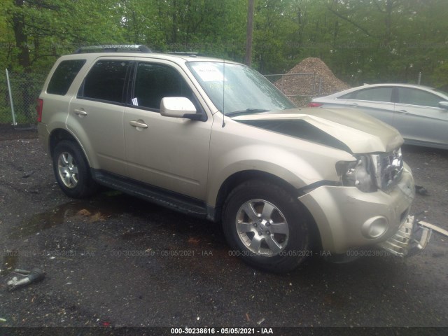 FORD ESCAPE 2011 1fmcu9eg6bkb79305