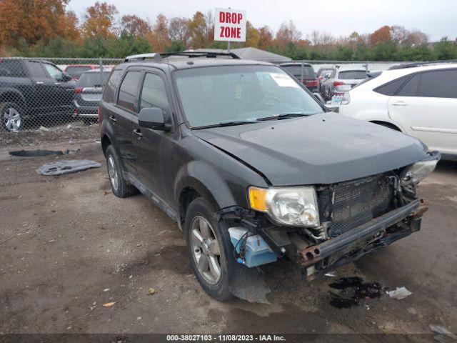 FORD ESCAPE 2011 1fmcu9eg6bkc44556