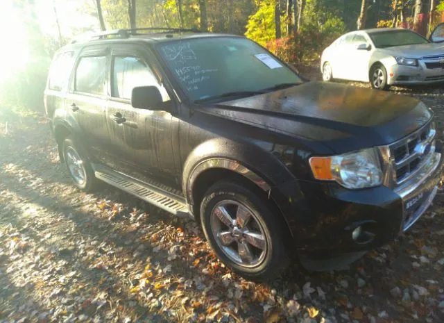 FORD ESCAPE 2011 1fmcu9eg6bkc47666