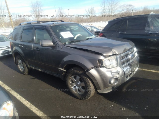 FORD ESCAPE 2011 1fmcu9eg6bkc58988