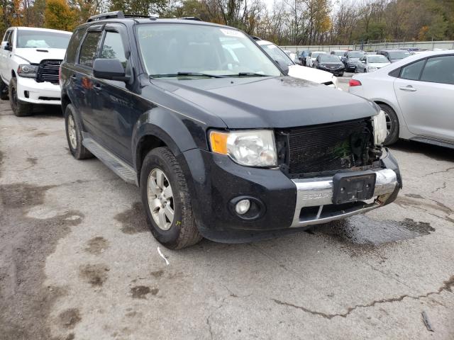 FORD ESCAPE LIM 2010 1fmcu9eg7akc71540