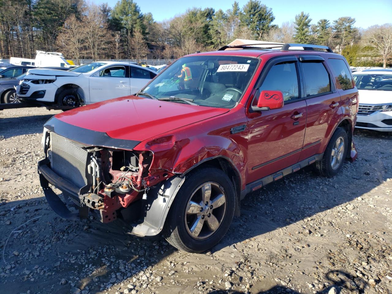 FORD ESCAPE 2011 1fmcu9eg7bka51865