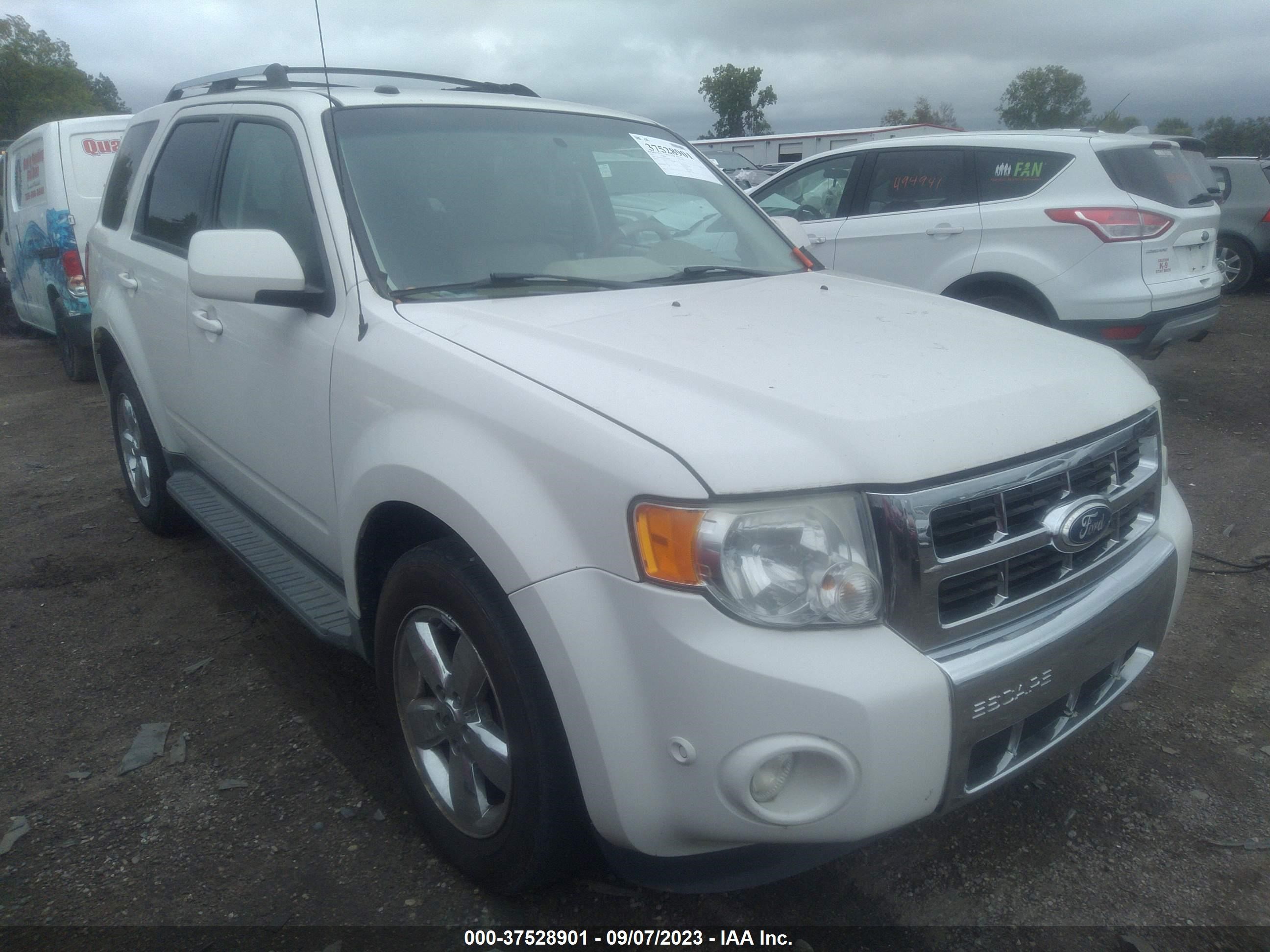 FORD ESCAPE 2011 1fmcu9eg7bka97860