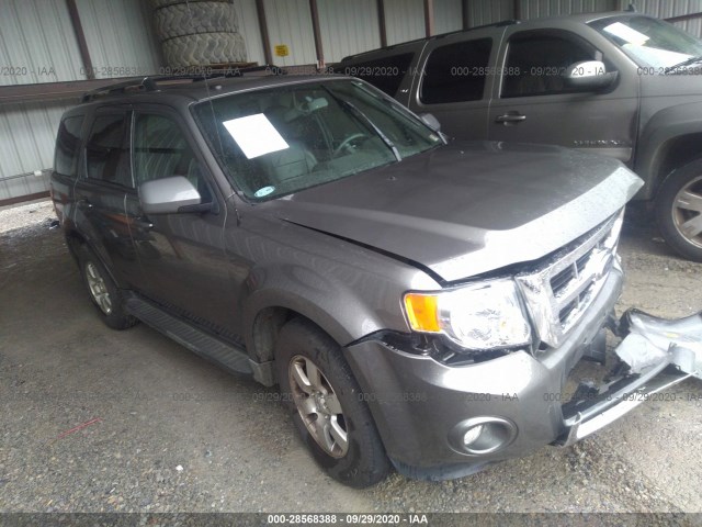 FORD ESCAPE 2011 1fmcu9eg7bkb43252