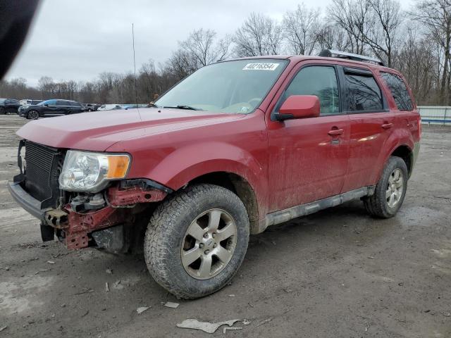 FORD ESCAPE 2011 1fmcu9eg7bkc06219