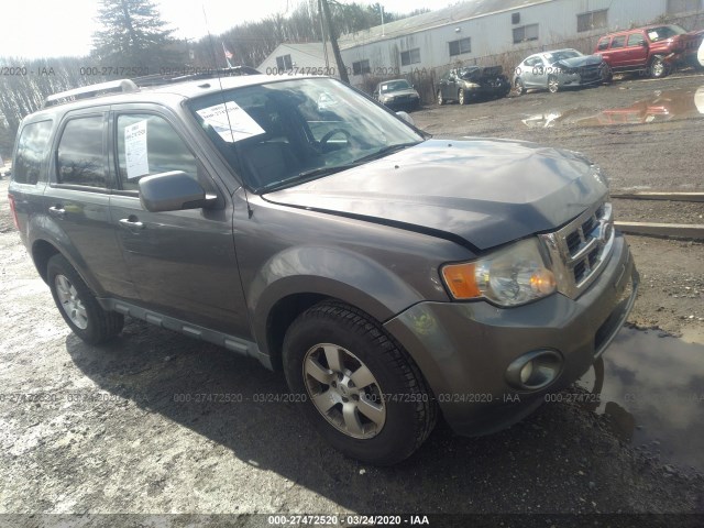 FORD ESCAPE 2010 1fmcu9eg8akc91246