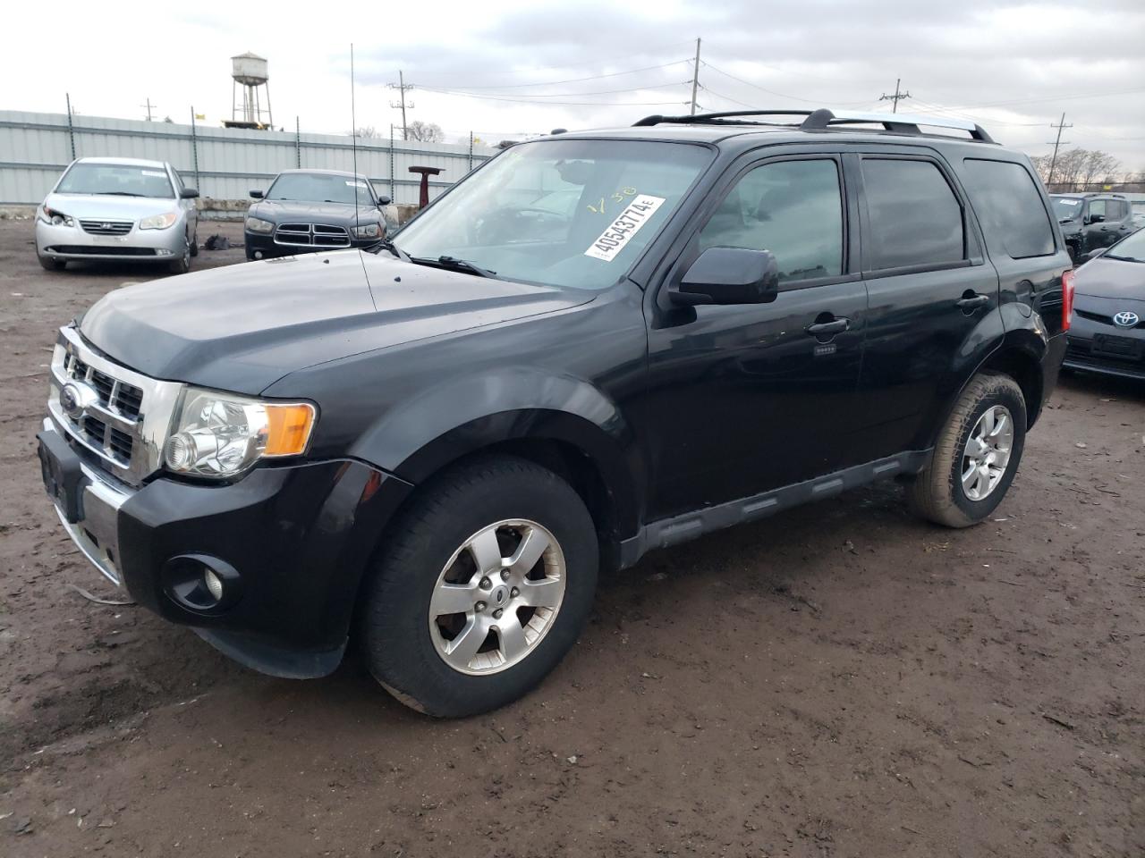 FORD ESCAPE 2011 1fmcu9eg8bkb70864