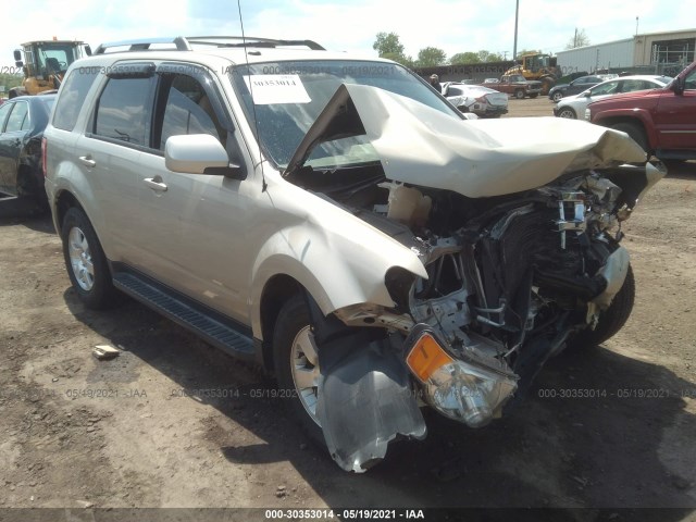 FORD ESCAPE 2011 1fmcu9eg8bkb71710