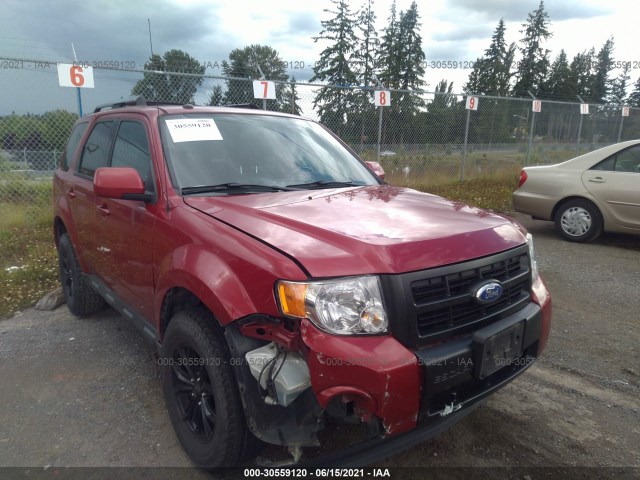 FORD ESCAPE 2011 1fmcu9eg8bkc06231