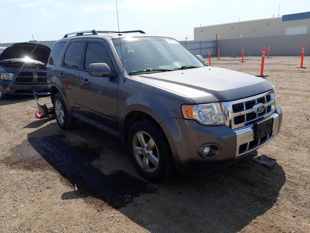 FORD ESCAPE LIM 2011 1fmcu9eg9bka44075