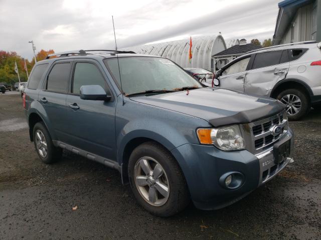 FORD ESCAPE LIM 2010 1fmcu9egxakb93139