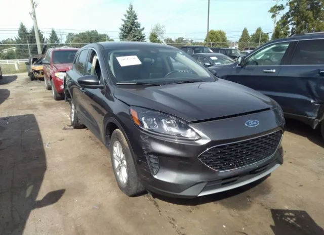 FORD ESCAPE 2020 1fmcu9g61luc13483