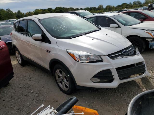 FORD ESCAPE SE 2013 1fmcu9g90dud84303