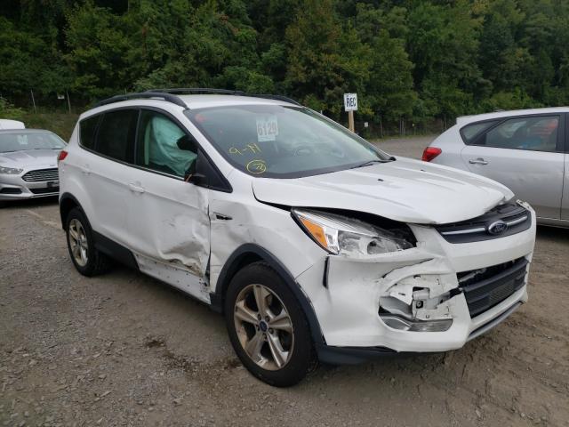 FORD ESCAPE SE 2014 1fmcu9g90eua56901