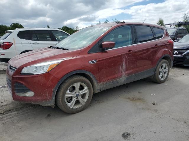 FORD ESCAPE 2014 1fmcu9g90eub04557