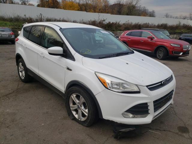 FORD NULL 2014 1fmcu9g90eub37624