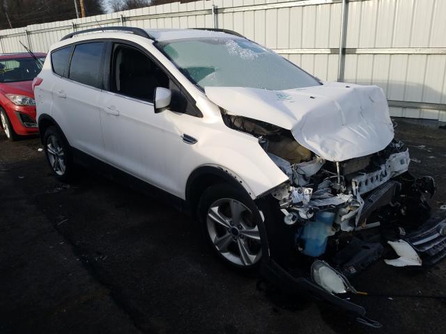 FORD ESCAPE SE 2014 1fmcu9g90eub41835