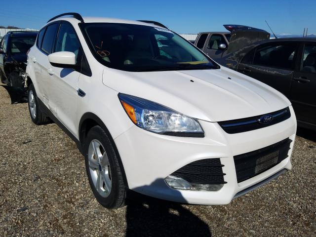 FORD ESCAPE SE 2014 1fmcu9g90euc30840