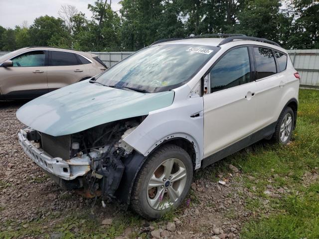 FORD ESCAPE SE 2014 1fmcu9g90euc47749