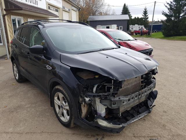 FORD ESCAPE SE 2014 1fmcu9g90eud46913